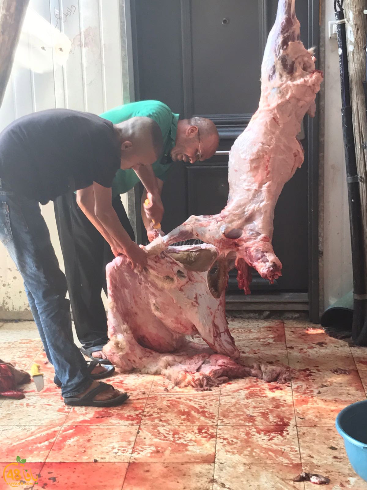 dab7 ada7y wu3ed (18).jpg